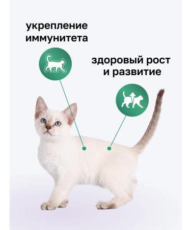 Organix Dry food for kittens with turkey 0.4 kg - Buy Online on GoSupps.com