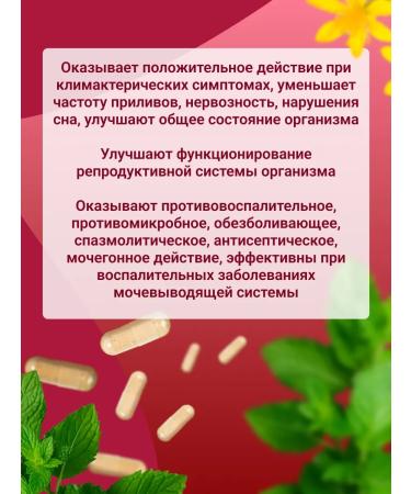 Add Altai Collection of boron uterus and red brush 3 packages - Buy Online on GoSupps.com