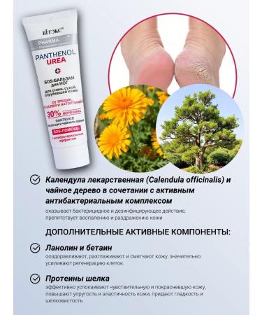 Vitex Urea with urea 2 pieces - Buy Online on GoSupps.com