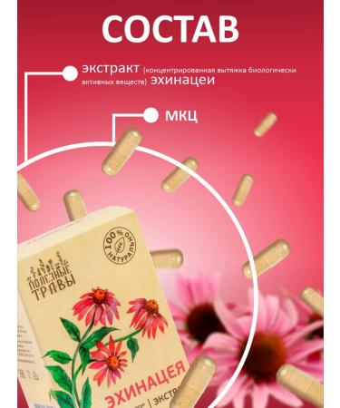 Add Altai Echinacea in capsules 2 packages - Buy Online on GoSupps.com