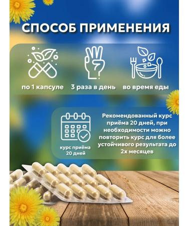 Add Altai Dandelion root Extract natural 2 packages - Buy Online on GoSupps.com