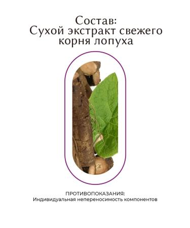 Visterra Burdock root extract in capsules - Buy Online on GoSupps.com