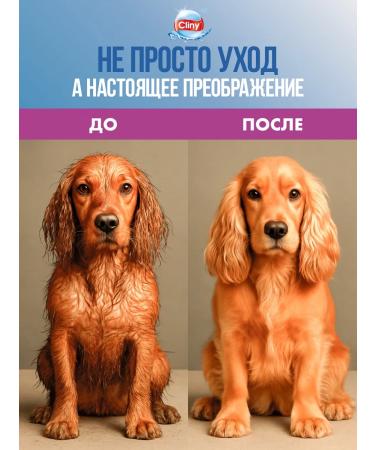 Clinics Sharpoon for dogs for long wool 300 ml - Buy Online on GoSupps.com