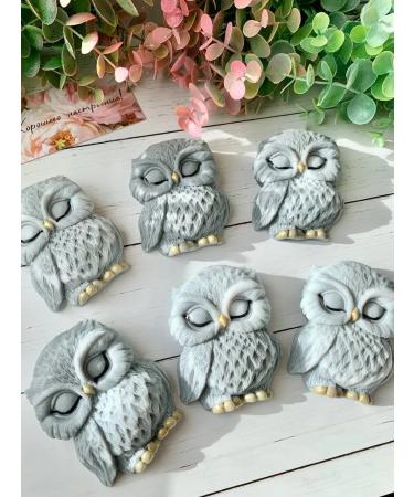 TuBa Home Gift to the teacher for graduation soap owl - Buy Online on GoSupps.com