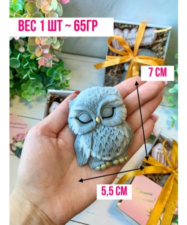 TuBa Home Gift to the teacher for graduation soap owl - Buy Online on GoSupps.com