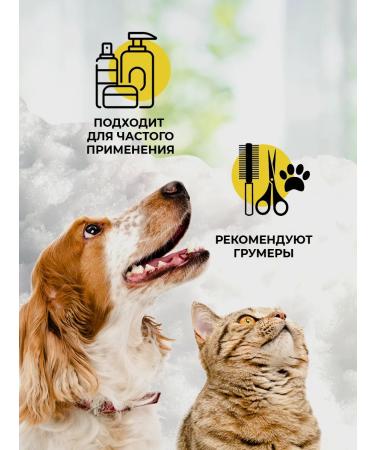 iv san bernard Orange shampoo for weak and dropping wool 100 ml - Buy Online on GoSupps.com