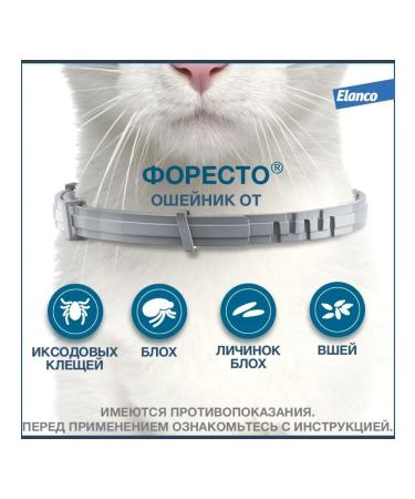 Elanco Foresteen from fleas for cats - Buy Online on GoSupps.com