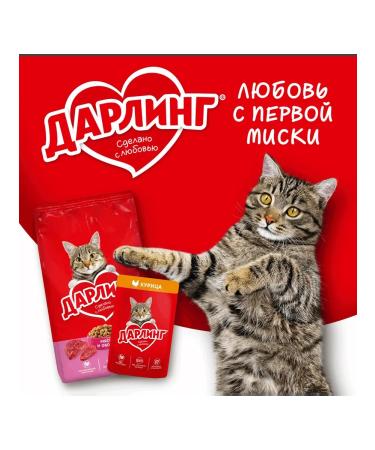 Darling Wet food for cats fifths in the grave of 26pcs x75g - Buy Online on GoSupps.com