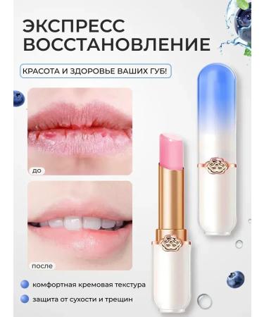 Sabbi Cosmetics Moisturizing lipstick-balsam for lip blueberries - Buy Online on GoSupps.com