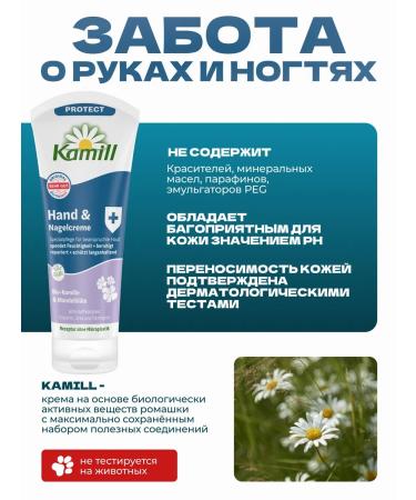 Kamill Cream for the skin of hands and nails Protect 100 ml 1pc - Buy Online on GoSupps.com