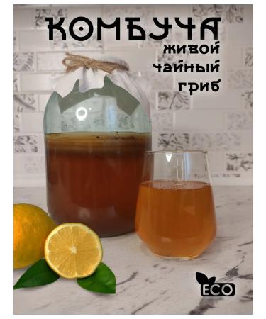 Tea mushroom of a living comable