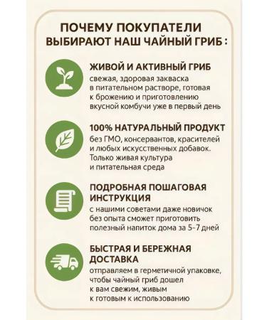 Tea mushroom of a living comable - Buy Online on GoSupps.com