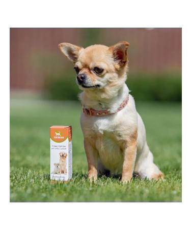 Timzoo Glorification for dogs therapeutic herbs 50 ml 2 pcs - Buy Online on GoSupps.com