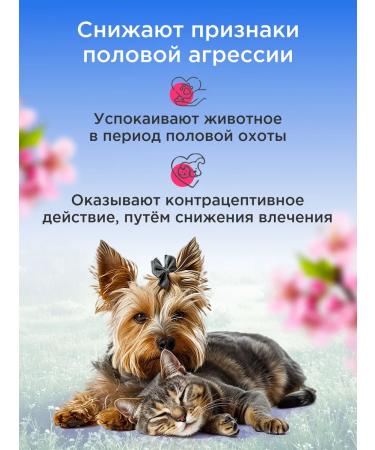 Good Dog&Cat Drops Antisex for cats and bitches 50ml - Buy Online on GoSupps.com