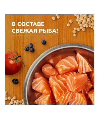 NOW'KITCHEN Bezernary feed adult dogs 5.440 kg - Buy Online on GoSupps.com