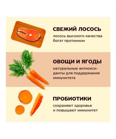 NOW'KITCHEN Bezernary feed adult dogs 5.440 kg - Buy Online on GoSupps.com