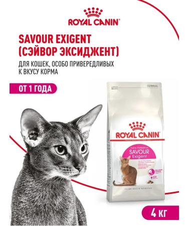 ROYAL CANIN Dry food for fastidious cats Savour Exigent 4 kg - Buy Online on GoSupps.com