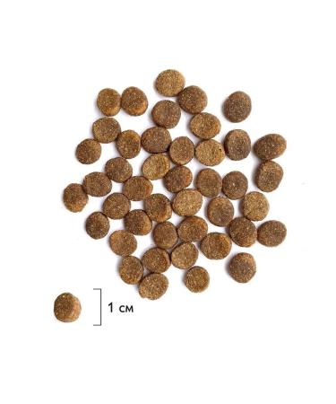 Brit For puppies and young dogcar 3kg - Buy Online on GoSupps.com