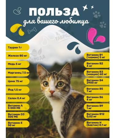 ALL CATS For adults sterilized cats with chicken 13 kg - Buy Online on GoSupps.com