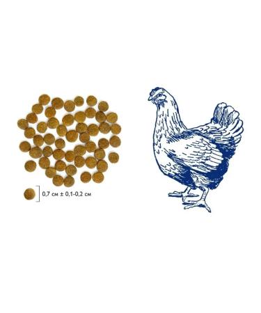 Brit For adult cats chicken-8 kg - Buy Online on GoSupps.com
