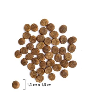 Brit For puppies and the moli-tank of large breeds 3kg - Buy Online on GoSupps.com