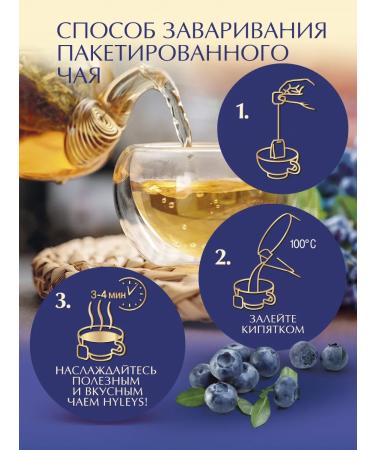 HYLEYS Harmony of nature green tea with blueberries 2 pcs 25 pack - Buy Online on GoSupps.com