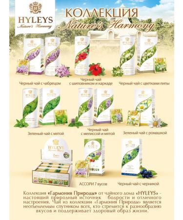 HYLEYS Harmony of nature Green tea with chamomile 2 pcs 25 Pack - Buy Online on GoSupps.com