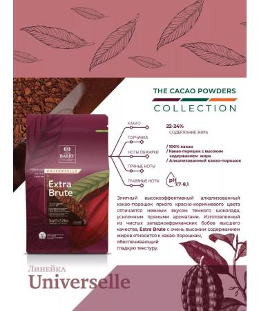CALLEBAUT Cocoa natural powder Cacao Barry Extra Brute 1 kg - Buy Online on GoSupps.com