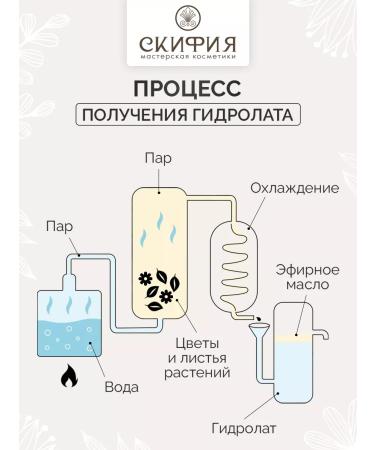 Scythia Hydrolat of natural lavender for the face - Buy Online on GoSupps.com