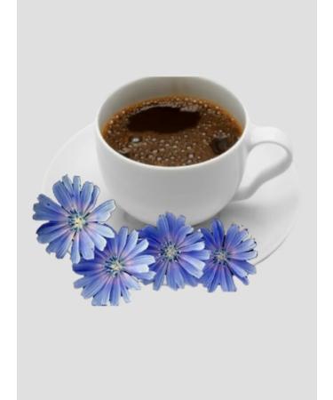 Relish Classic chicory 3 pcs 70 grams - Buy Online on GoSupps.com