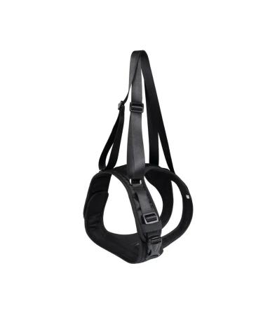 Hands for dogs with handles support the rear clutches of animals