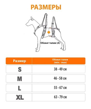 Hands for dogs with handles support the rear clutches of animals - Buy Online on GoSupps.com