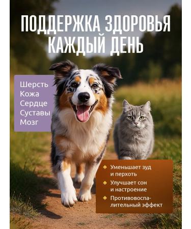 Polkan Salmon oil for dogs and cats 250 ml - Buy Online on GoSupps.com