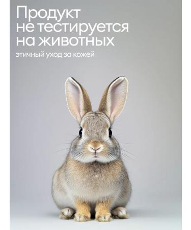 BAZE Hand soap perfumed Cedarwood Sandalwood - Buy Online on GoSupps.com