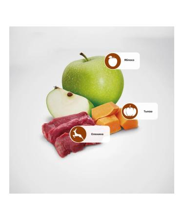 Farmina N & d for dogs pumpkin venison 285 g of farmin 3 pcs - Buy Online on GoSupps.com