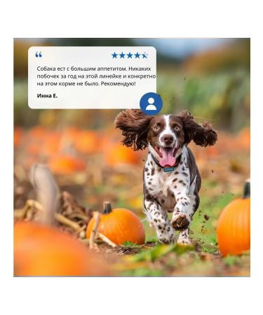 Farmina N & d for dogs pumpkin venison 285 g of farmin 3 pcs - Buy Online on GoSupps.com