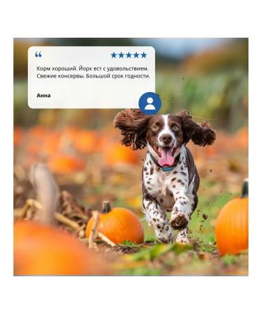 Farmina N & d for dogs pumpkin duck 285 g 3 pcs - Buy Online on GoSupps.com