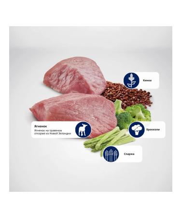 Farmina H & D for cats Kinoa for weight control 80 g 12 pcs - Buy Online on GoSupps.com