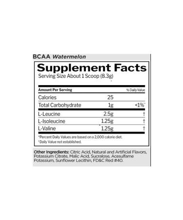 Rule 1 BCAA amino acids 249 g - watermelon - Buy Online on GoSupps.com