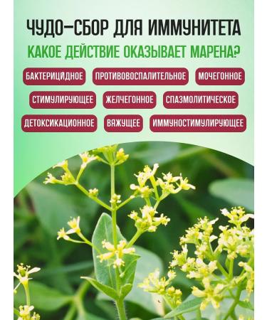 Honey and Jam Marena roots 40 g - Buy Online on GoSupps.com