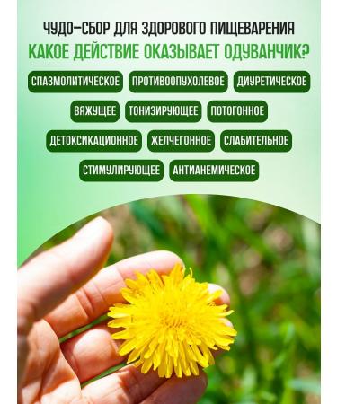 Honey and Jam Dandelion medicinal sheet (with flower) 25 gr. 2 units - Buy Online on GoSupps.com