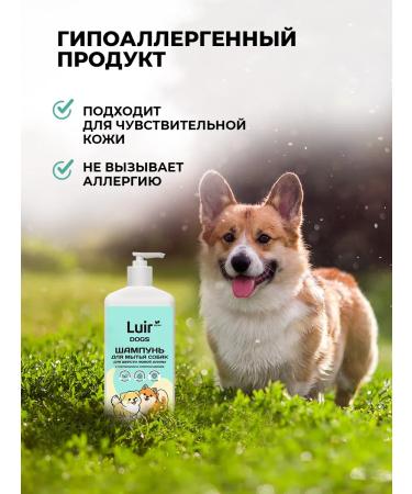 LUIR Dog washing with chlorhexidine and panthenol 1+1 liter - Buy Online on GoSupps.com