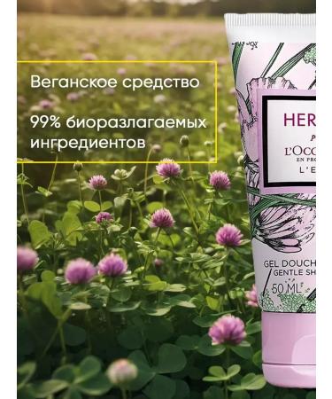 L'Occitane Set of hand cream and shower gel - Buy Online on GoSupps.com