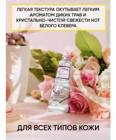 L'Occitane Set of hand cream and shower gel - Buy Online on GoSupps.com