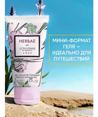 L'Occitane Set of hand cream and shower gel - Buy Online on GoSupps.com