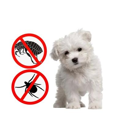 Tixfli Tiksfli112.5mg for dogs weighing 2-4.5kg - Buy Online on GoSupps.com