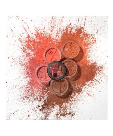 Just make up Just mineral scattered blush t.08 - Buy Online on GoSupps.com
