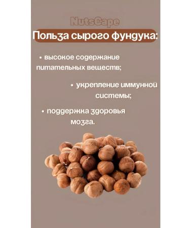 Raw hazelnuts 0.5 kg/ 500 g - Buy Online on GoSupps.com