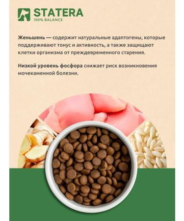 Statera Dry food for sterilized cats with chicken 10 kg - Buy Online on GoSupps.com