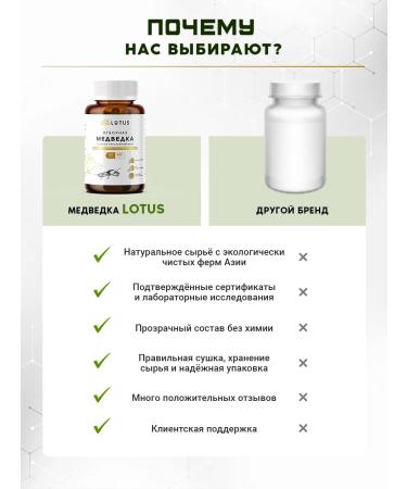 Doctor's Shop Bear dried from cough for immunity - Buy Online on GoSupps.com